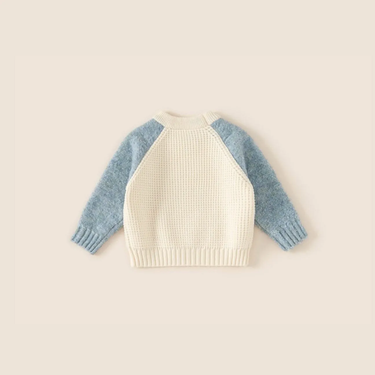 Cartoon Bear Colorblock Raglan Sleeve Knit Sweater