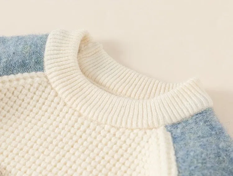 Cartoon Bear Colorblock Raglan Sleeve Knit Sweater