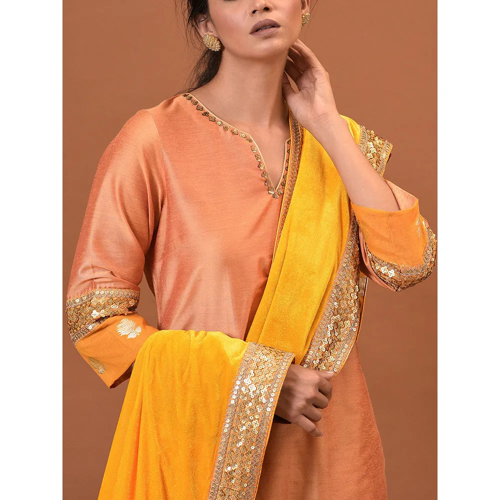 NUHH Winter wheat Kurta, Pant with a Velvet Shawl (Set of 3)